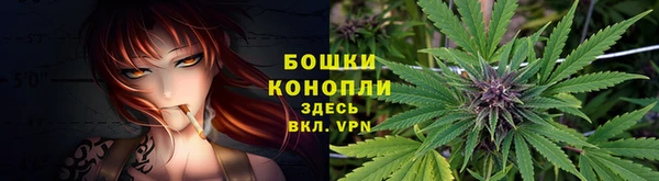 дурь Дмитриев
