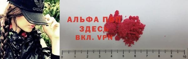 дурь Дмитриев
