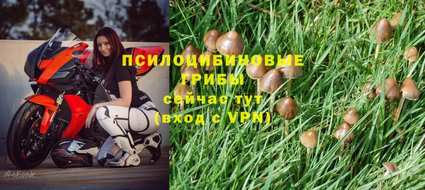 MDMA Premium VHQ Дмитровск