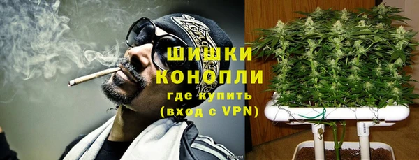 дурь Дмитриев