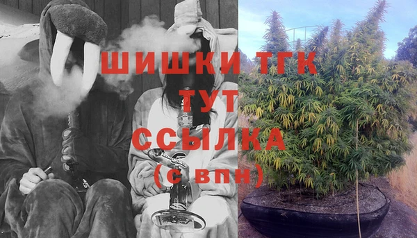 дурь Дмитриев